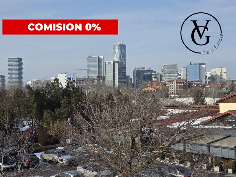 Floreasca  Duplex ideal investitie - 502 mp